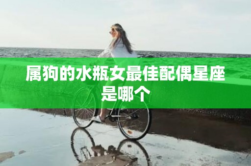属狗的水瓶女最佳配偶星座是哪个