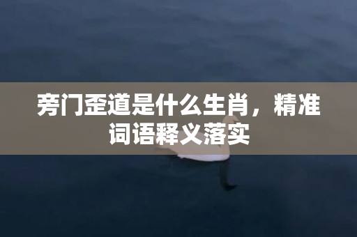 旁门歪道是什么生肖，精准词语释义落实