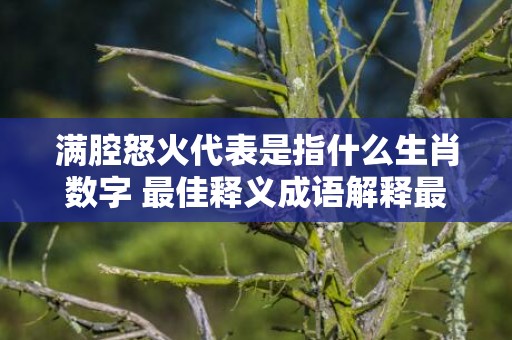 满腔怒火代表是指什么生肖数字 最佳释义成语解释最佳答