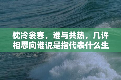 枕冷衾寒，谁与共热，几许相思向谁说是指代表什么生肖标准成语落实释义