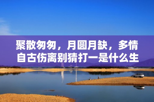 聚散匆匆，月圆月缺，多情自古伤离别猜打一是什么生肖精准词语释义落实