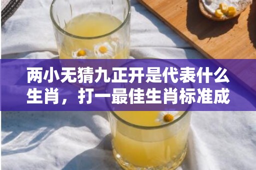 两小无猜九正开是代表什么生肖，打一最佳生肖标准成语落实释义