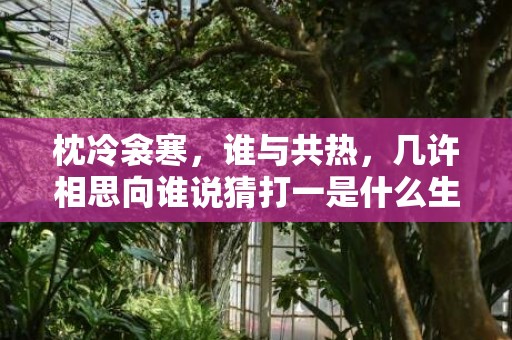 枕冷衾寒，谁与共热，几许相思向谁说猜打一是什么生肖精准词语释义落实