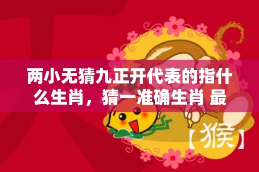 两小无猜九正开代表的指什么生肖，猜一准确生肖 最佳释义成语解释最佳答