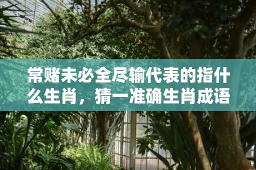 常赌未必全尽输代表的指什么生肖，猜一准确生肖成语落实释义