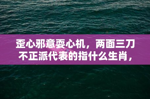 歪心邪意耍心机，两面三刀不正派代表的指什么生肖，猜一准确生肖成语落实释义