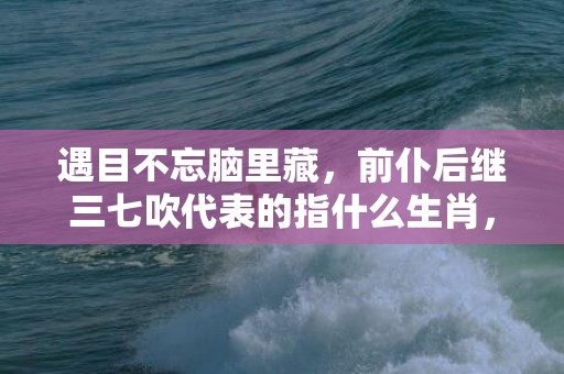 遇目不忘脑里藏，前仆后继三七吹代表的指什么生肖，猜一准确生肖成语落实释义