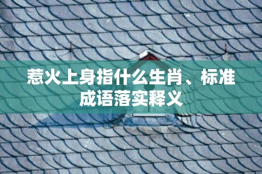 惹火上身指什么生肖、标准成语落实释义