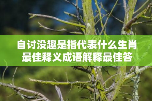 自讨没趣是指代表什么生肖 最佳释义成语解释最佳答