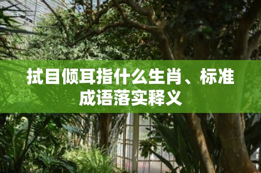 拭目倾耳指什么生肖、标准成语落实释义