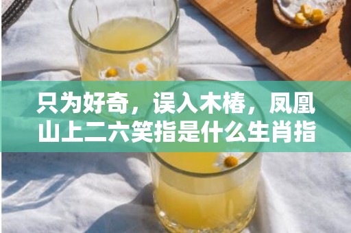 只为好奇，误入木椿，凤凰山上二六笑指是什么生肖指是什么生肖，猜打一最佳生肖落实标准成语释义