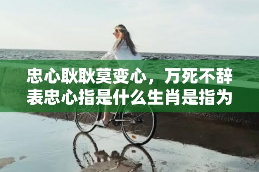 忠心耿耿莫变心，万死不辞表忠心指是什么生肖是指为什么生肖，猜打一最佳生肖标准成语落实释义