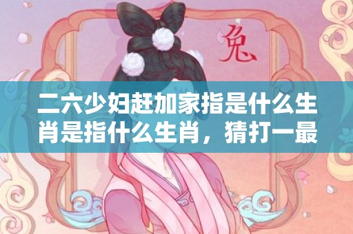 二六少妇赶加家指是什么生肖是指什么生肖，猜打一最佳精准词语释义落实