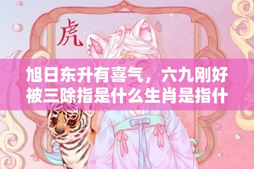 旭日东升有喜气，六九刚好被三除指是什么生肖是指什么生肖，猜打一最佳生肖标准成语落实释义