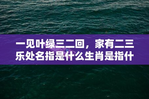 一见叶绿三二回，家有二三乐处名指是什么生肖是指什么生肖，猜打一最佳生肖标准成语落实释义