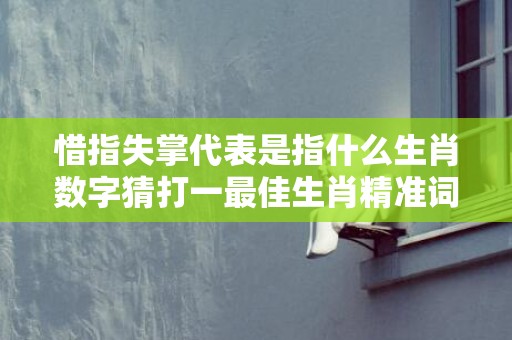 惜指失掌代表是指什么生肖数字猜打一最佳生肖精准词语释义落实插图
