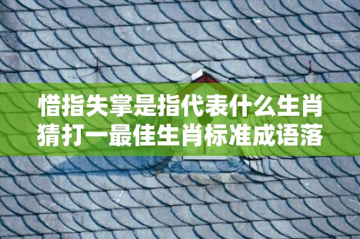 惜指失掌是指代表什么生肖猜打一最佳生肖标准成语落实释义插图
