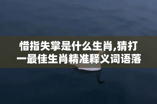 惜指失掌是什么生肖,猜打一最佳生肖精准释义词语落实