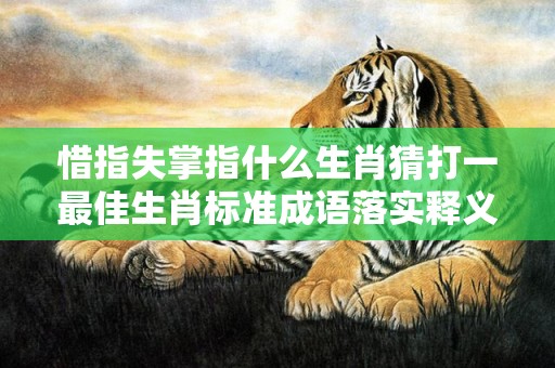 惜指失掌指什么生肖猜打一最佳生肖标准成语落实释义