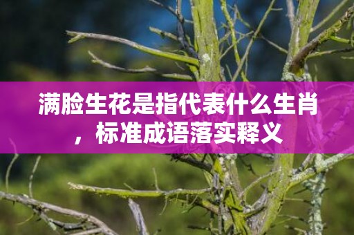 满脸生花是指代表什么生肖，标准成语落实释义