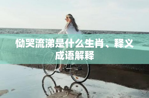 恸哭流涕是什么生肖、释义成语解释