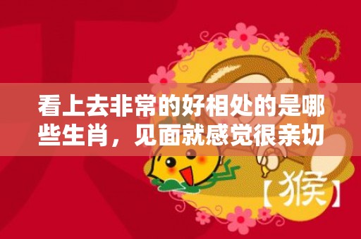 看上去非常的好相处的是哪些生肖，见面就感觉很亲切