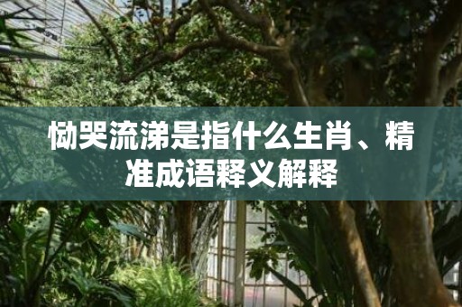 恸哭流涕是指什么生肖、精准成语释义解释