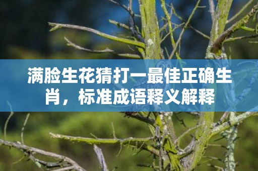 满脸生花猜打一最佳正确生肖，标准成语释义解释