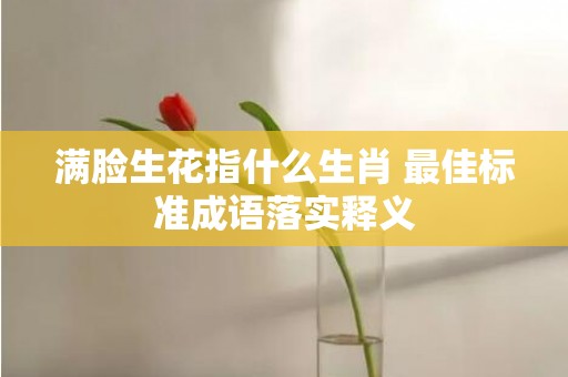 满脸生花指什么生肖 最佳标准成语落实释义