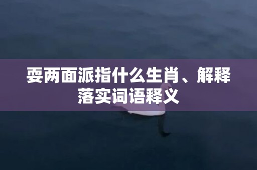 耍两面派指什么生肖、解释落实词语释义