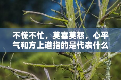 不慌不忙，莫喜莫怒，心平气和方上道指的是代表什么生肖，成语释义解释