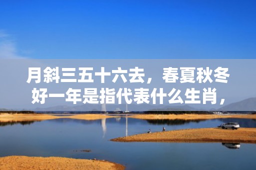 月斜三五十六去，春夏秋冬好一年是指代表什么生肖，猜打一最佳答案最佳释义成语解释最佳答