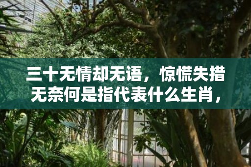 三十无情却无语，惊慌失措无奈何是指代表什么生肖，猜打一最佳答案最佳释义成语解释最佳答