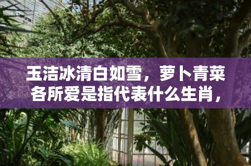 玉洁冰清白如雪，萝卜青菜各所爱是指代表什么生肖，猜打一最佳答案最佳释义成语解释最佳答
