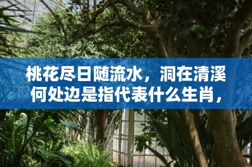 桃花尽日随流水，洞在清溪何处边是指代表什么生肖，猜打一最佳答案最佳释义成语解释最佳答