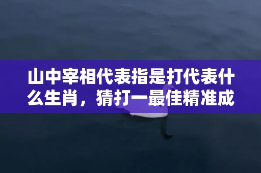山中宰相代表指是打代表什么生肖，猜打一最佳精准成语释义解释