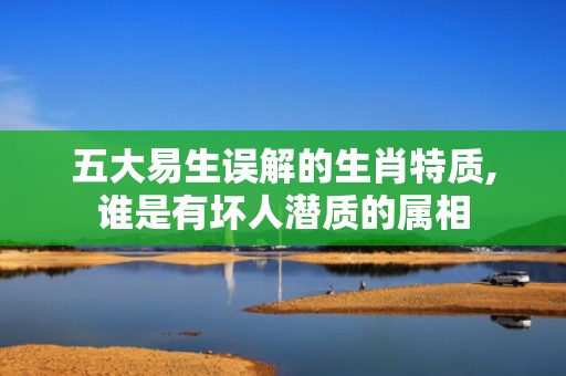 五大易生误解的生肖特质,谁是有坏人潜质的属相