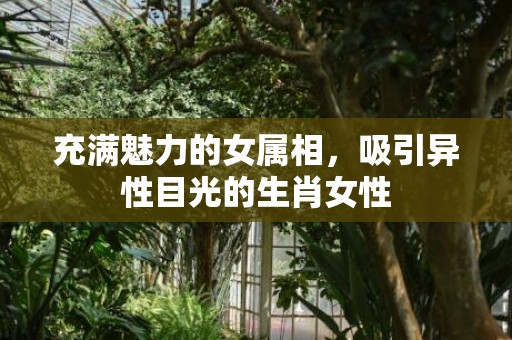 充满魅力的女属相，吸引异性目光的生肖女性