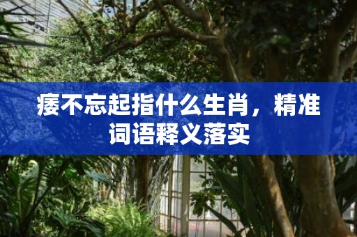 痿不忘起指什么生肖，精准词语释义落实