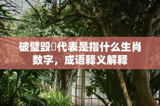 破璧毁珪代表是指什么生肖数字，成语释义解释