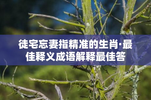 徒宅忘妻指精准的生肖·最佳释义成语解释最佳答插图
