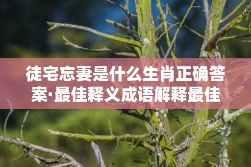 徒宅忘妻是什么生肖正确答案·最佳释义成语解释最佳答