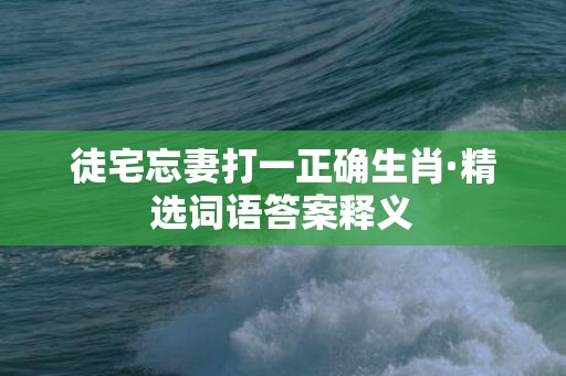 徒宅忘妻打一正确生肖·精选词语答案释义