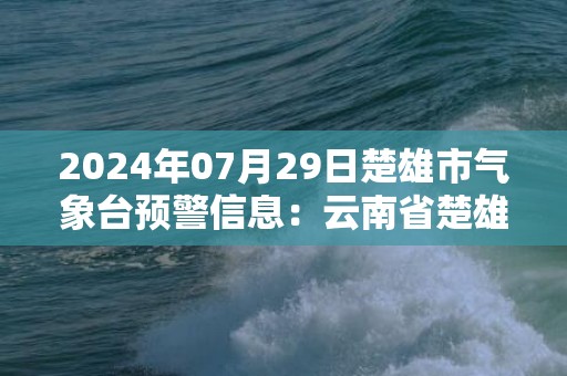 2024年07月29日楚雄市气象台预警信息：云南省楚雄彝族自治州发布雷电黄色预警