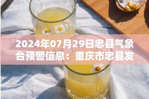 2024年07月29日忠县气象台预警信息：重庆市忠县发布暴雨橙色预警