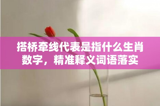 搭桥牵线代表是指什么生肖数字，精准释义词语落实