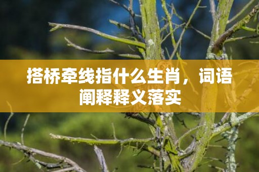 搭桥牵线指什么生肖，词语阐释释义落实