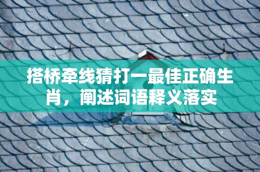 搭桥牵线猜打一最佳正确生肖，阐述词语释义落实