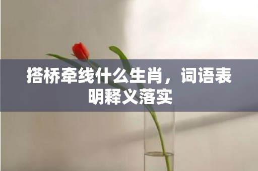 搭桥牵线什么生肖，词语表明释义落实