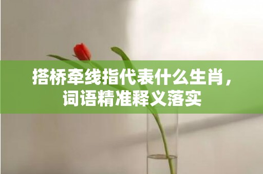 搭桥牵线指代表什么生肖，词语精准释义落实